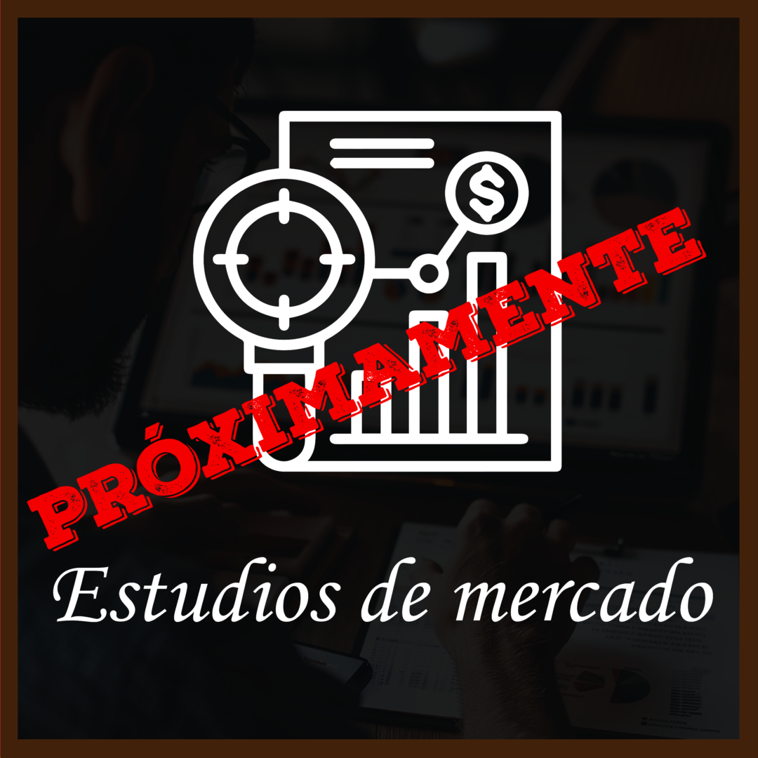 Zacatecas agencia de promoción